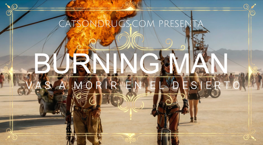 Burning Man Festival, Black Rock City, Arte y música en el desierto, Experiencia Burning Man, Festivales en EE.UU., Instalaciones artísticas, Supervivencia en Burning Man, Burning Man 2024