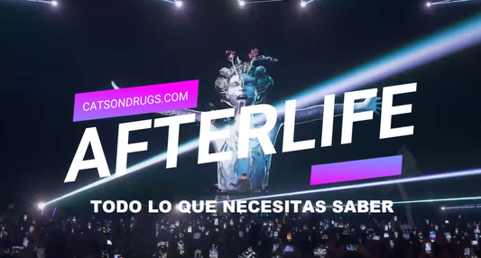 Afterlife Festival, Techno melódico, Deep house, Tale of Us, Festivales de techno, Eventos electrónicos 2025, Lineup Afterlife Festival, Entradas Afterlife Festival, Afterlife Ibiza