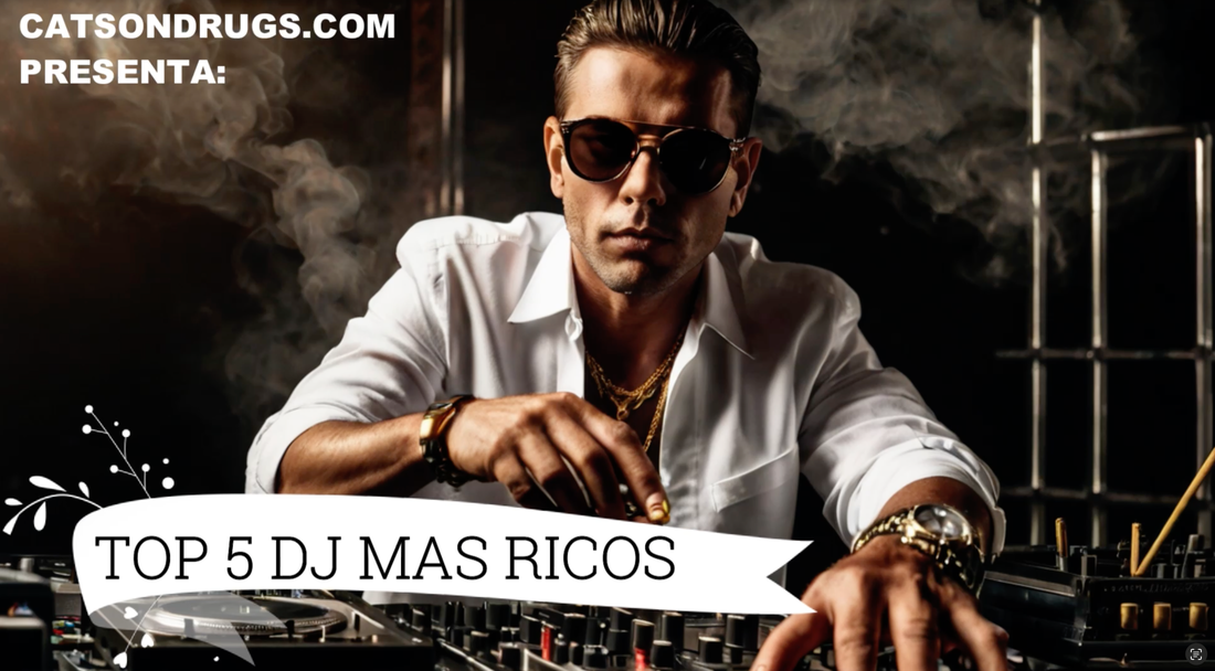 DJs techno más ricos, ranking DJs techno 2024, DJs de techno con más dinero, fortuna de DJs techno, cuánto gana un DJ de techno, Richie Hawtin fortuna, Carl Cox ingresos, Sven Väth patrimonio
