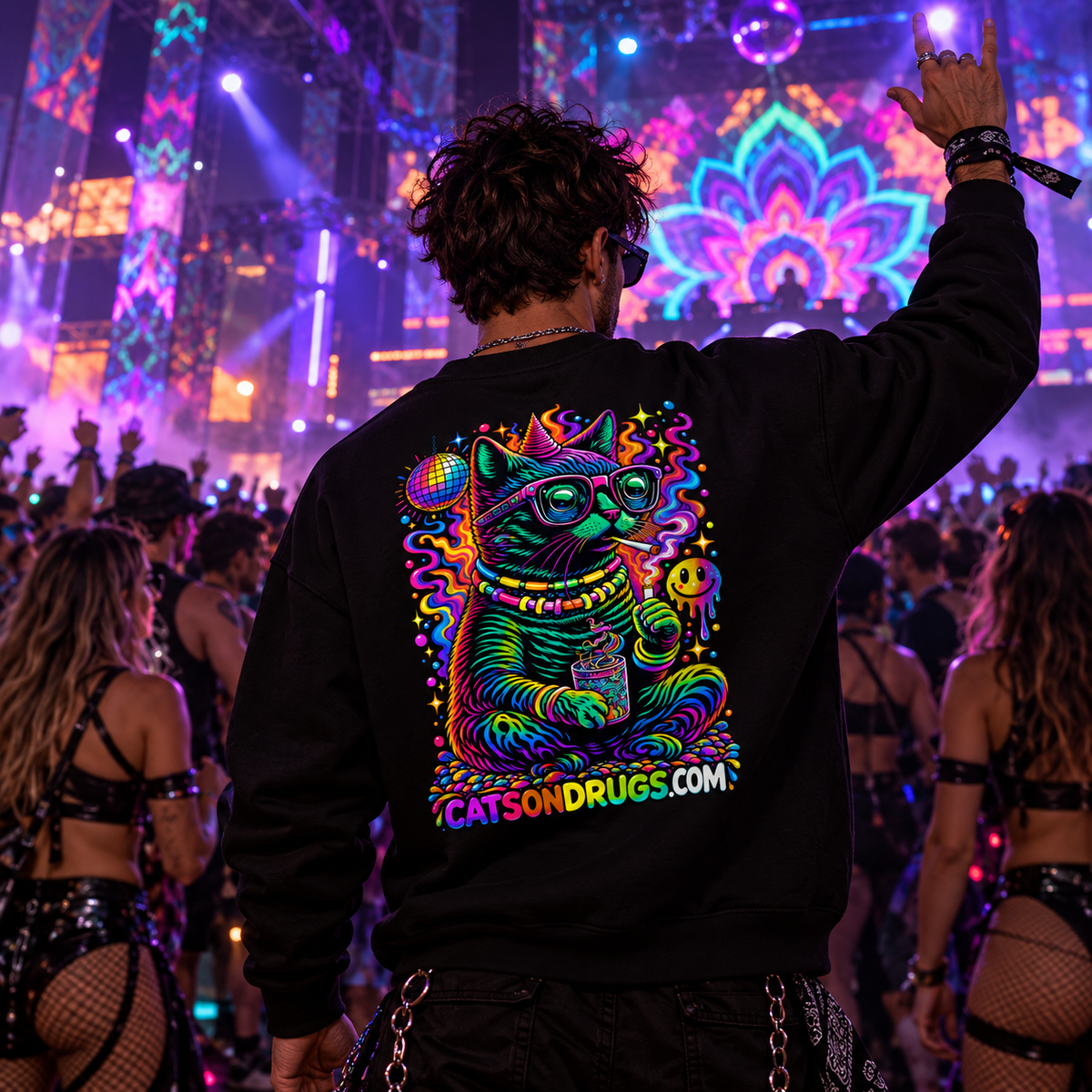 Acid Sweatshirt | Acid Cat