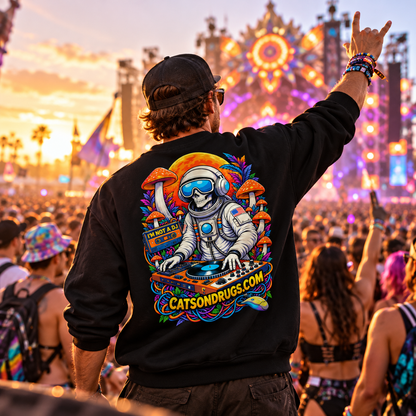 Techno Sweatshirt | I'm not a DJ