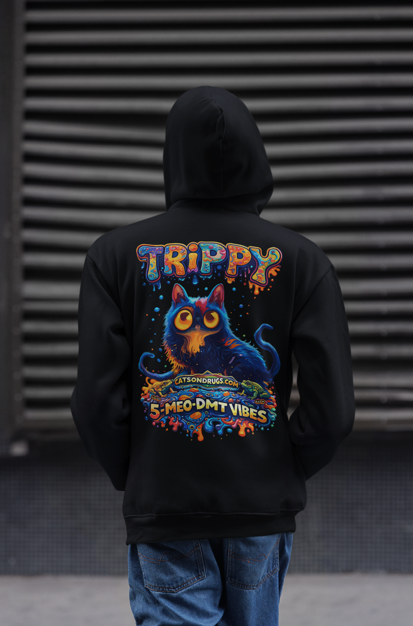 Psychedelic Hoodie | Bufo Alvarius Vibes