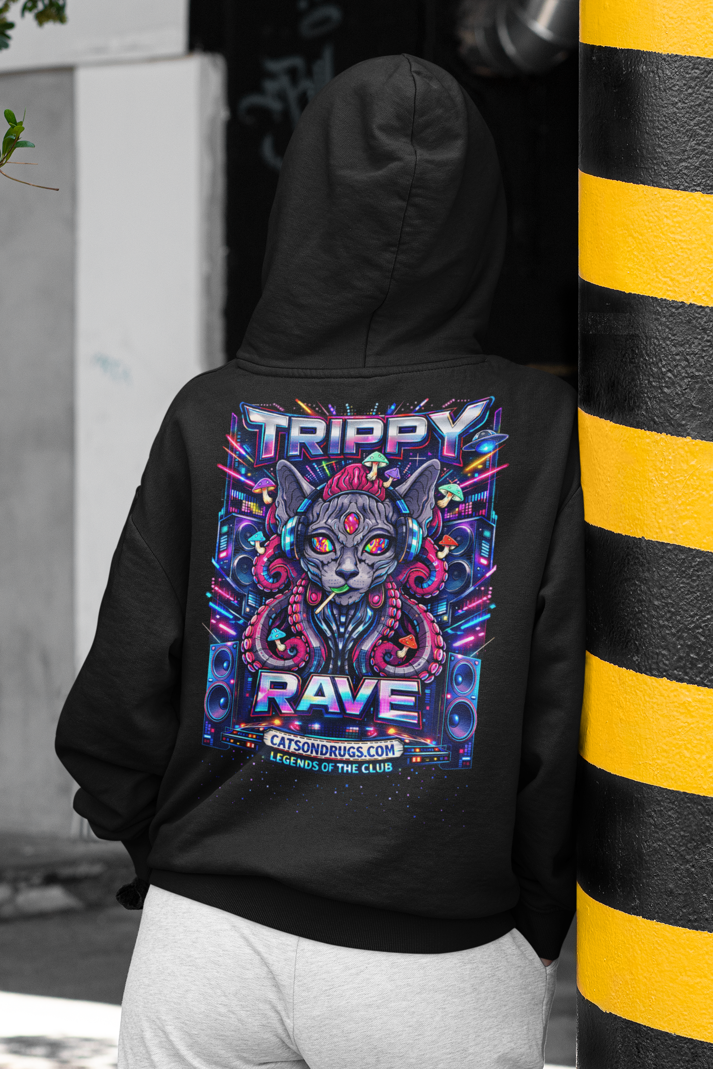 dj hoodie