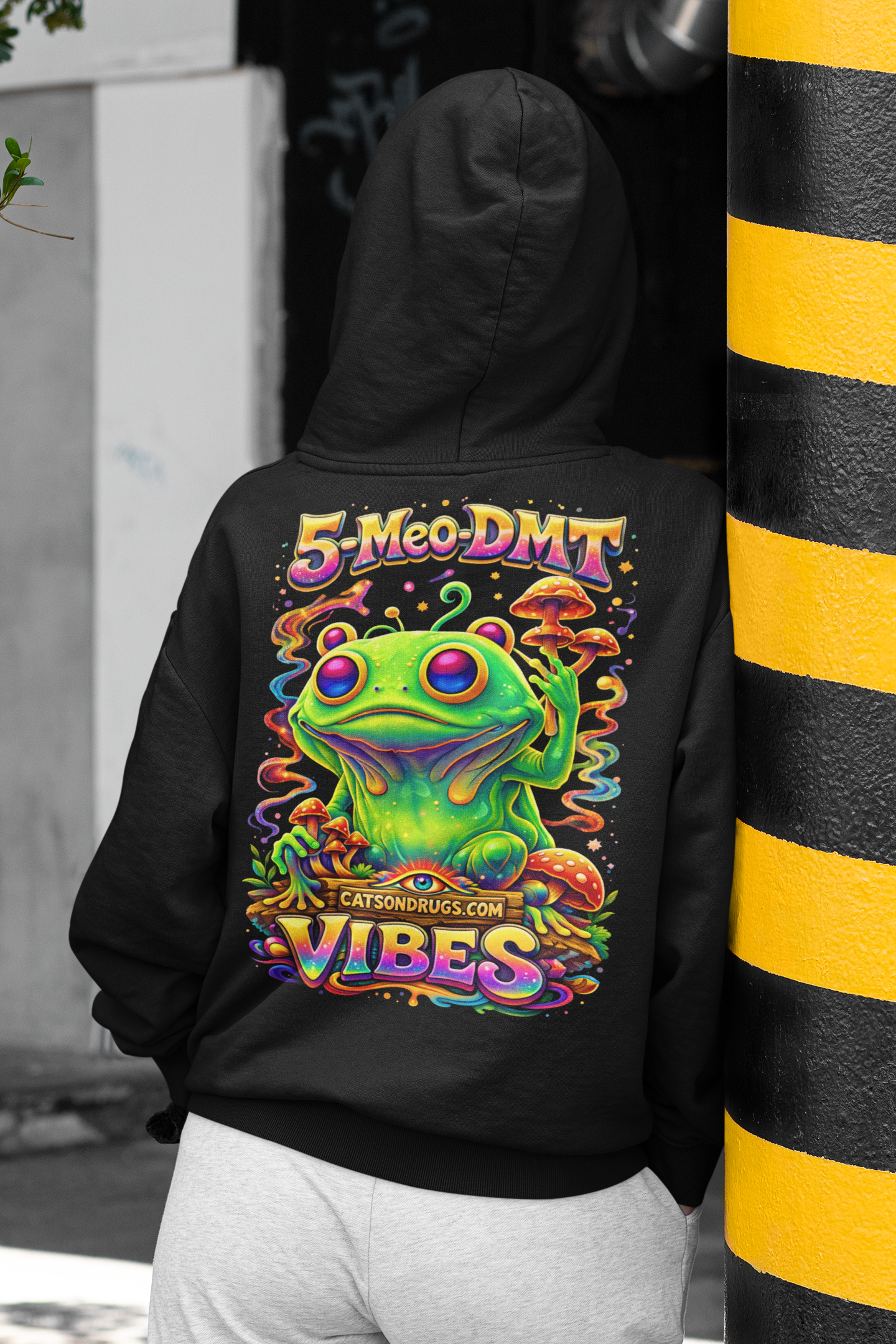 sapo bufo hoodie